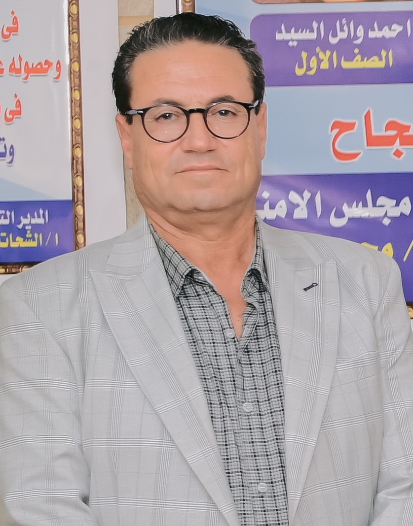 المهندس عادل المصرى 